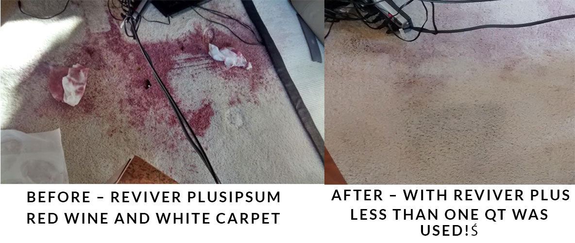 Before and after carpet cleaner